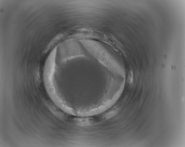 X0000082690524200702232208