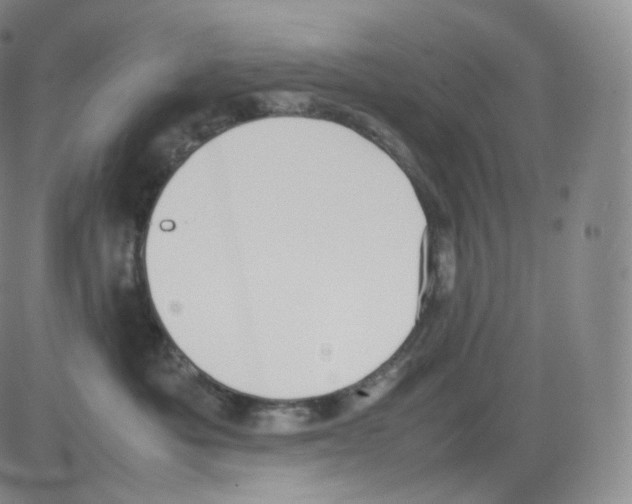 X0000082690525200702232208