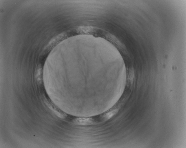 X0000082690526200702232208