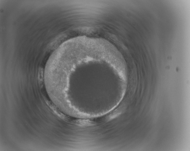 X0000082690528200702232208