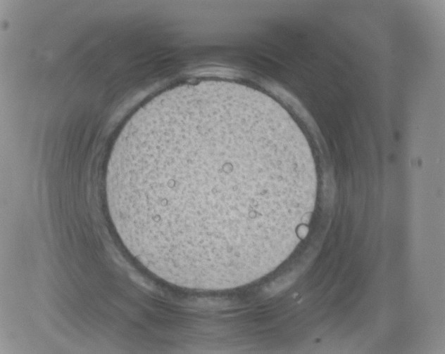 X0000082690529200702232207