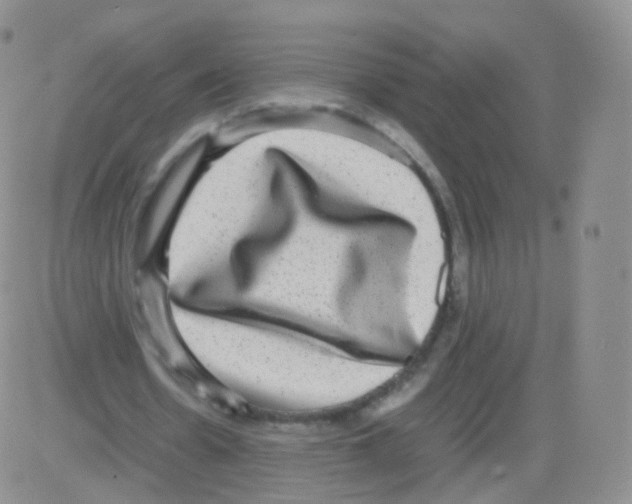 X0000082690530200702232207