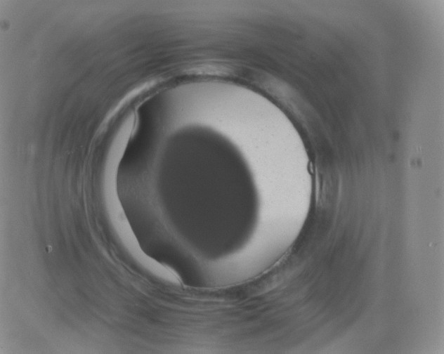 X0000082690531200702232207