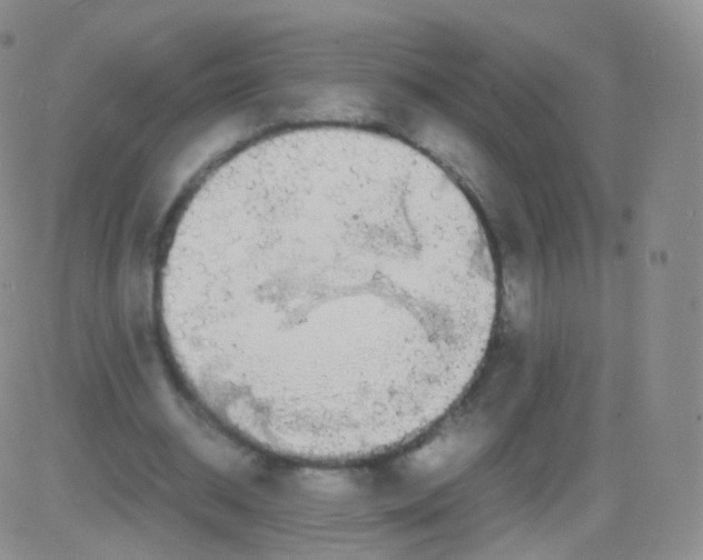 X0000082690534200702232207