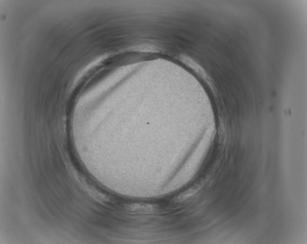 X0000082690535200702232207