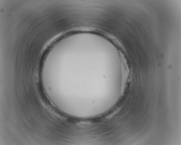 X0000082690536200702232207