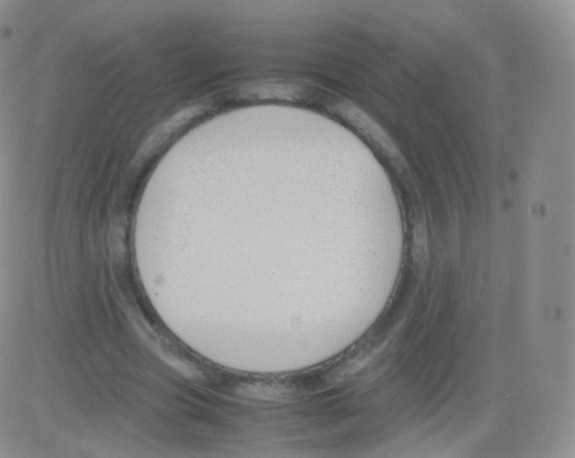 X0000082690537200702232207