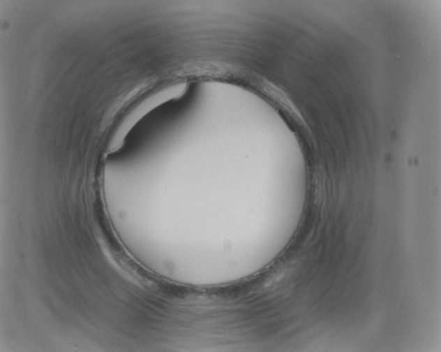 X0000082690538200702232207