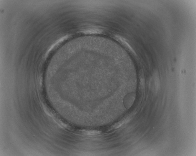 X0000082690539200702232207