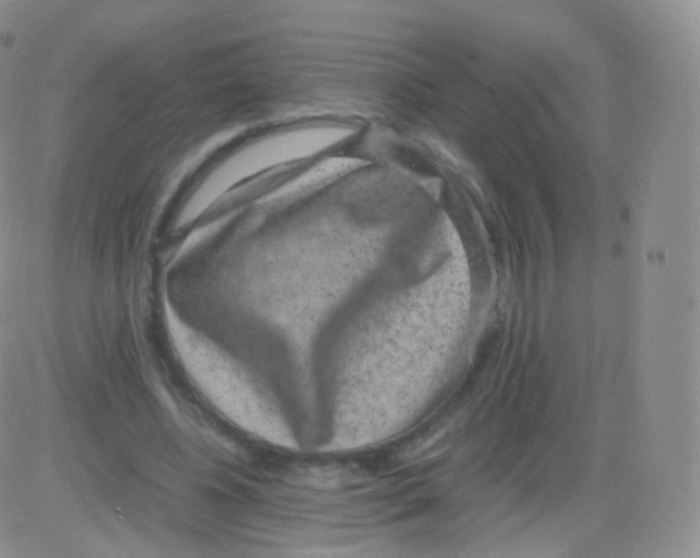 X0000082690540200702232207