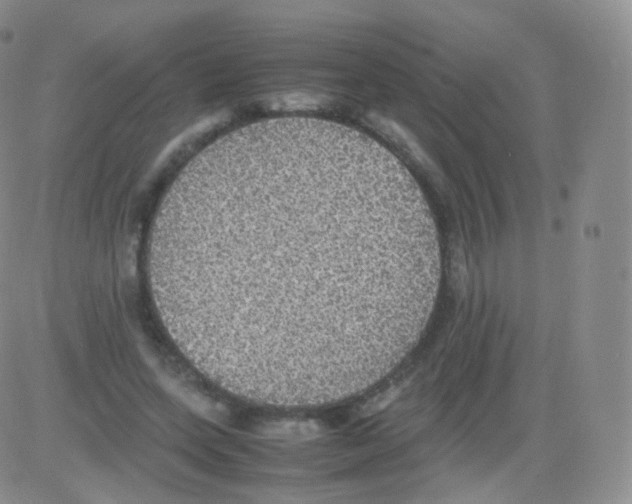 X0000082690543200702232207