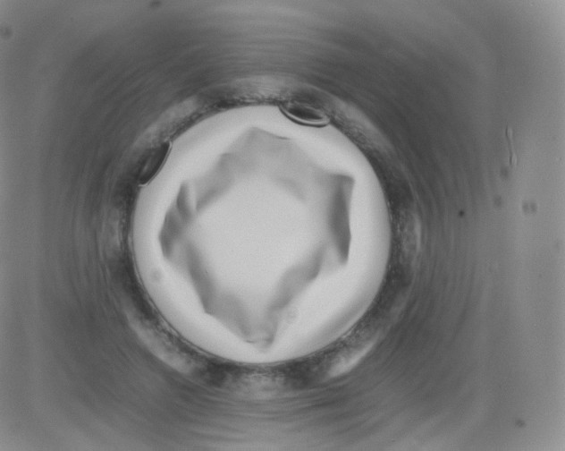 X0000082690546200702232207