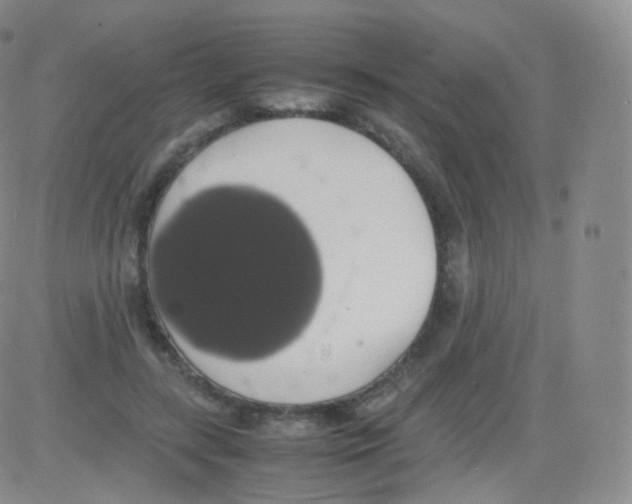 X0000082690547200702232207