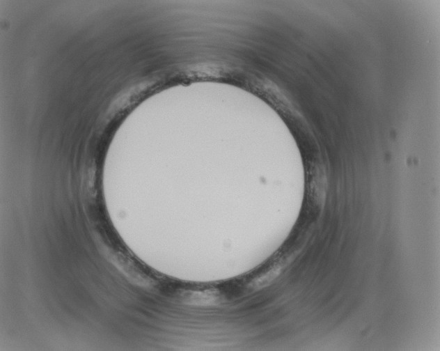 X0000082690548200702232207