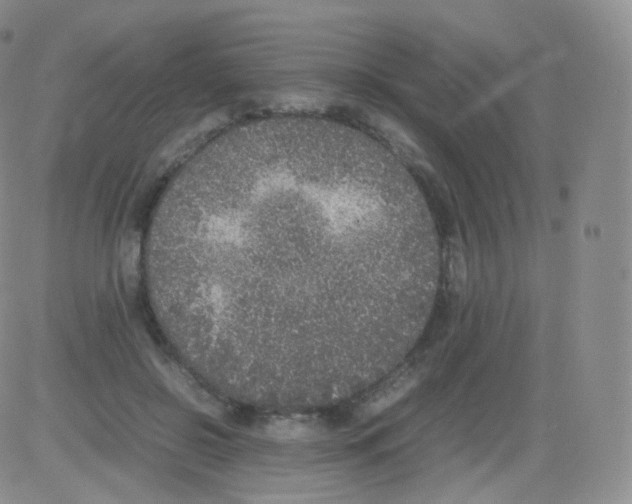 X0000082690550200702232207