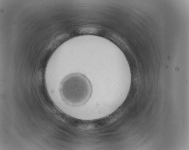 X0000082690551200702232207