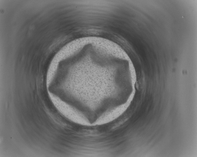 X0000082690552200702232207