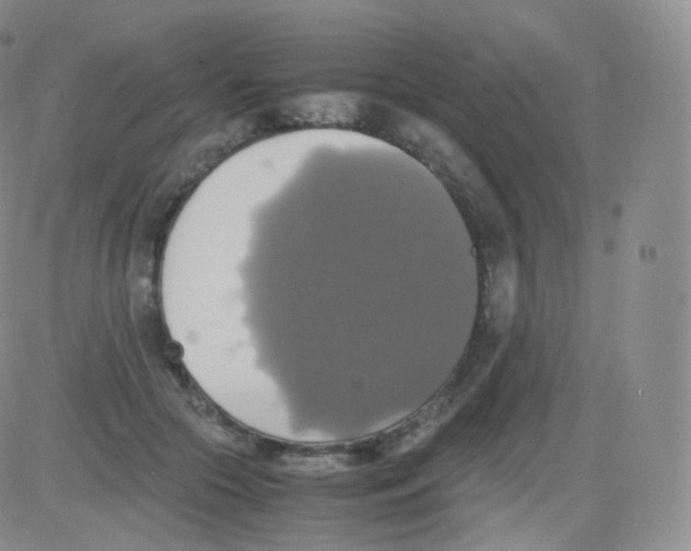 X0000082690553200702232207