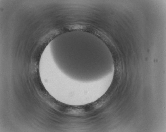 X0000082690555200702232207