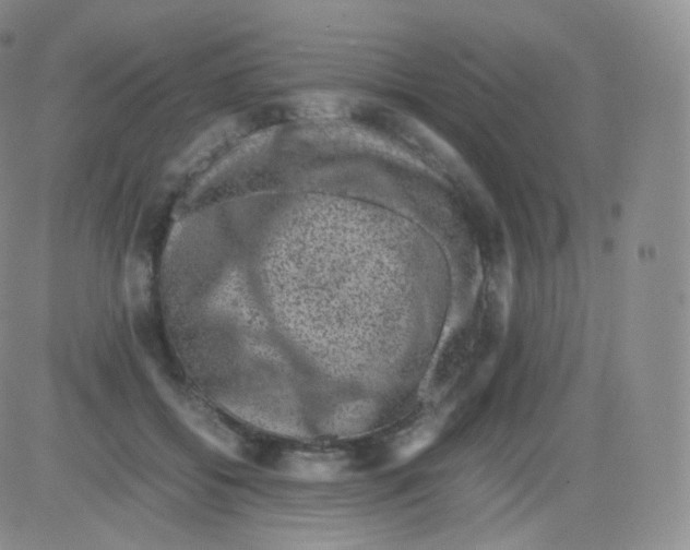 X0000082690556200702232207