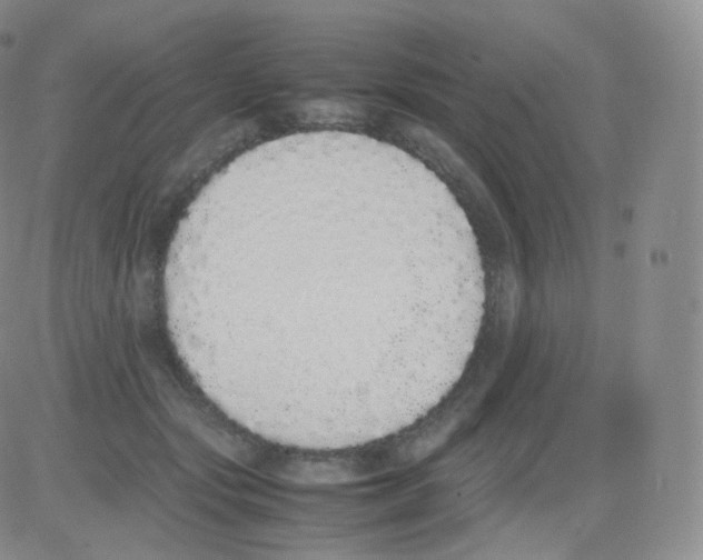 X0000082690557200702232207