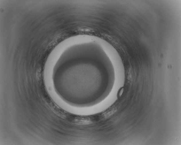 X0000082690559200702232207