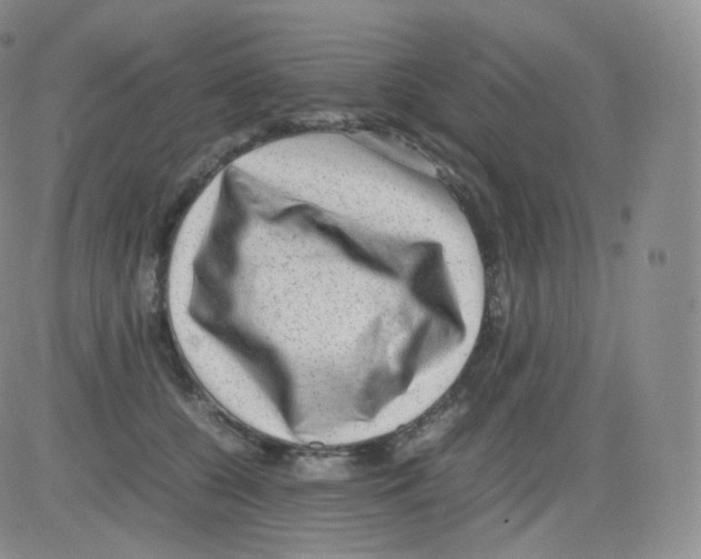 X0000082690560200702232207