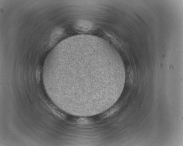 X0000082690562200702232207