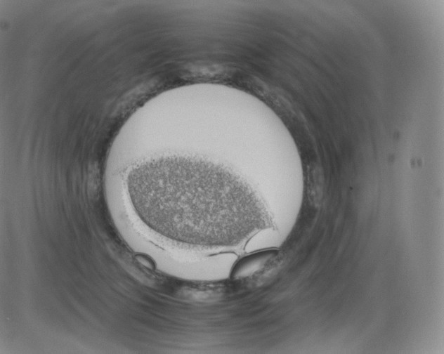 X0000082690563200702232207