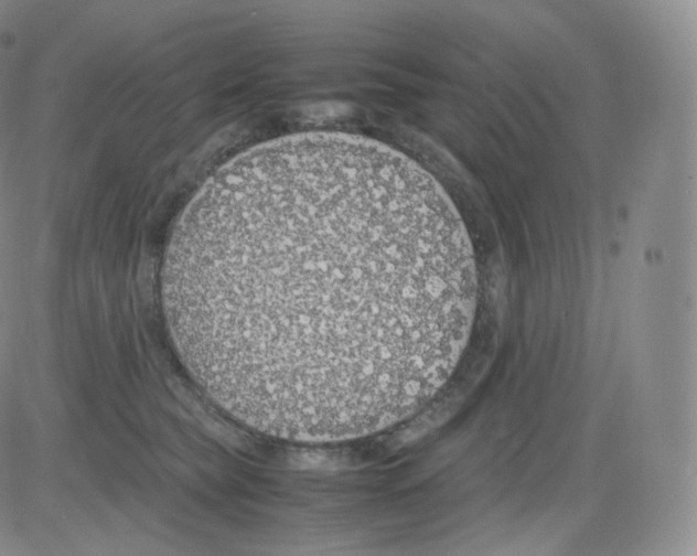 X0000082690565200702232207