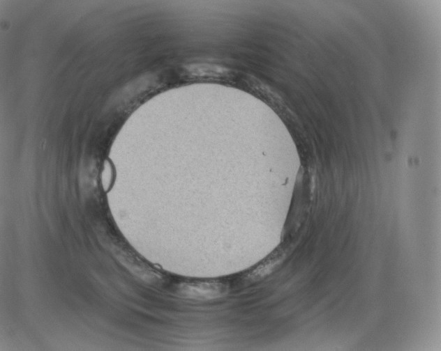 X0000082690567200702232207