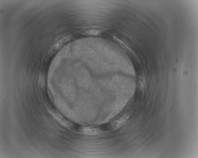 X0000082690568200702232208