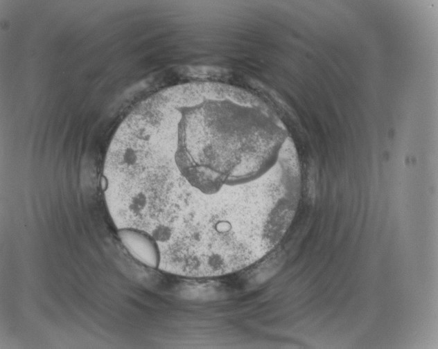 X0000082690569200702232208