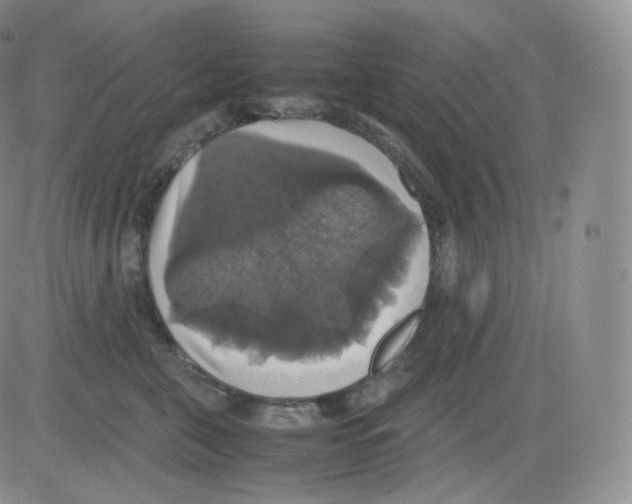 X0000082690571200702232208