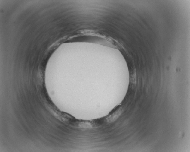 X0000082690572200702232208