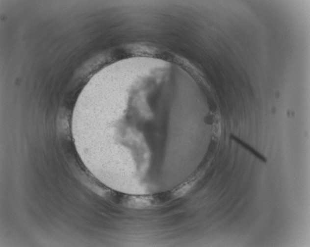 X0000082690573200702232208