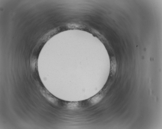 X0000082690574200702232208