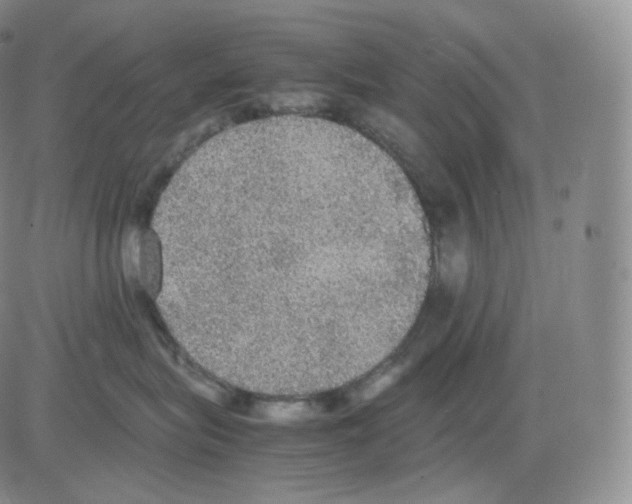 X0000082690575200702232208