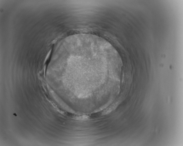 X0000082690576200702232208