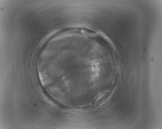 X0000082690577200702232207