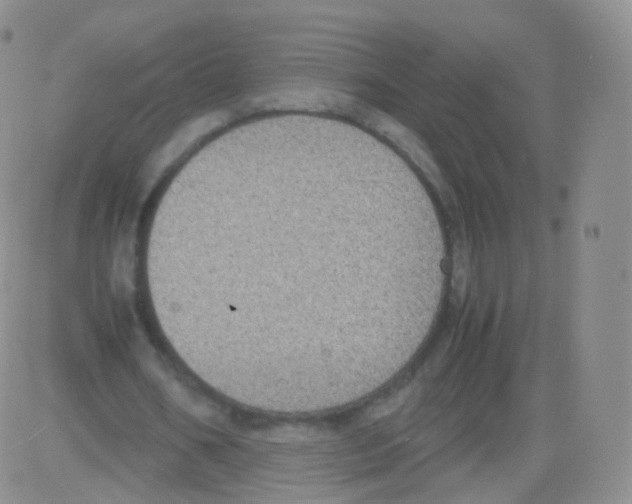 X0000082690578200702232207