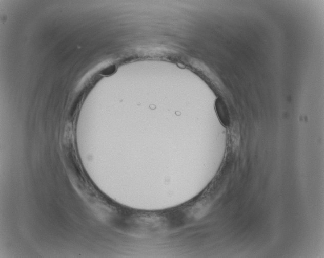 X0000082690583200702232207