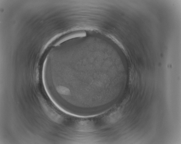 X0000082690584200702232207