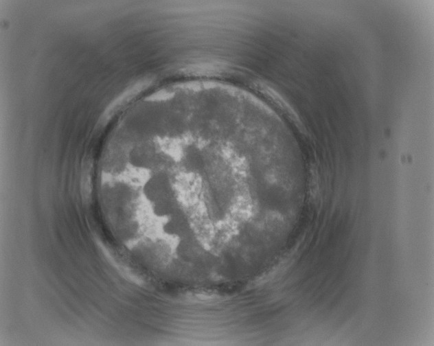 X0000082690586200702232207