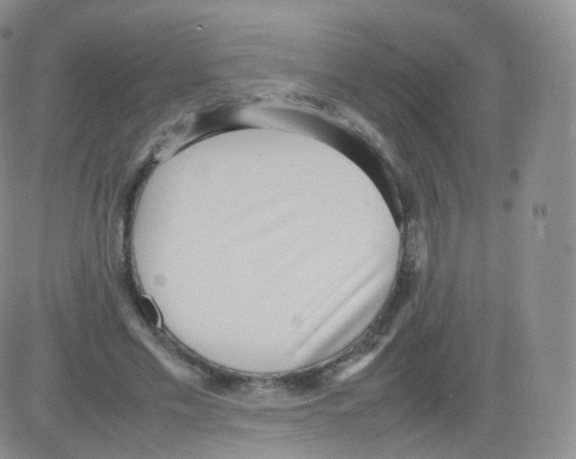 X0000082690589200702232207