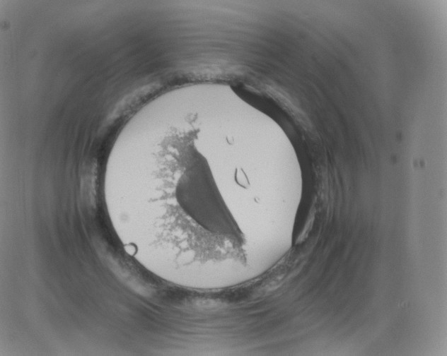 X0000082690590200702232207