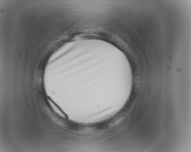 X0000082690593200702232207