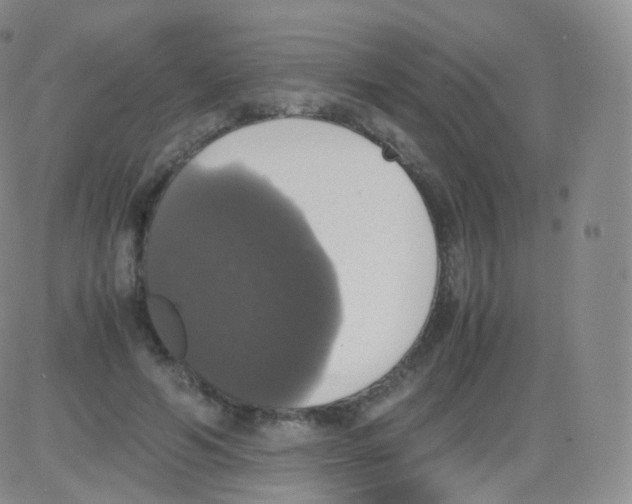 X0000082690594200702232207