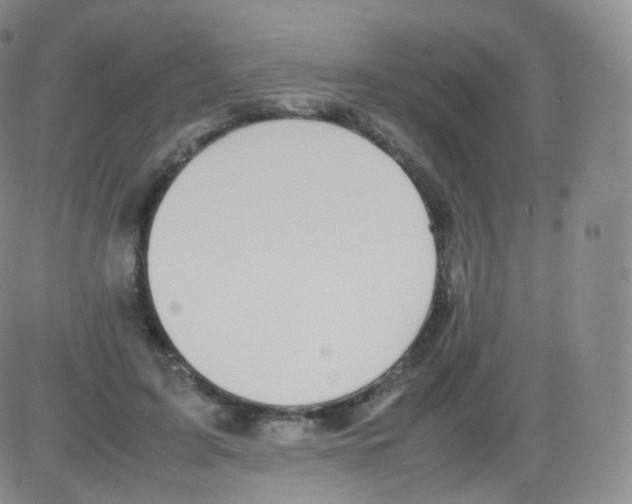 X0000082690595200702232207