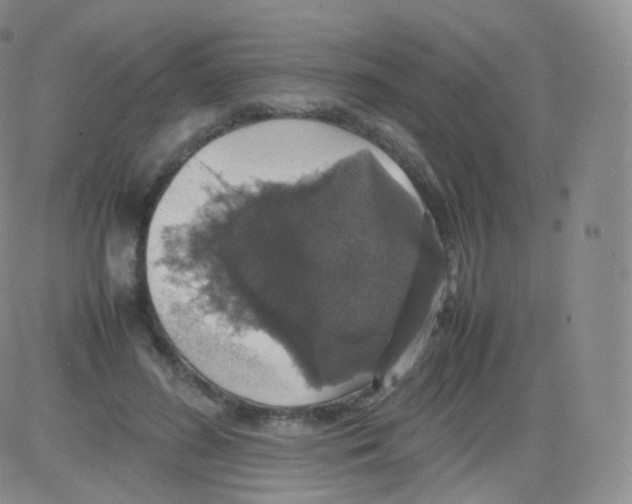 X0000082690596200702232207